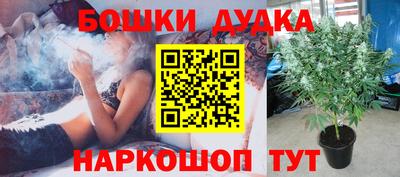 стаф Ставрополь
