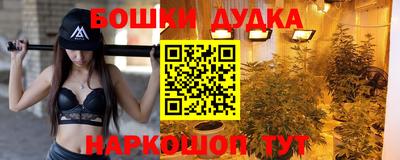 стаф Ставрополь