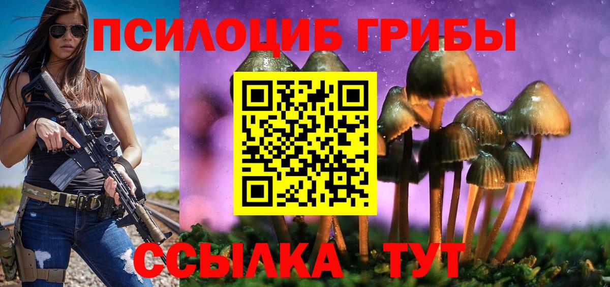 Псилоцибиновые грибы MAGIC MUSHROOMS  Вход с VPN  Псилоцибиновые грибы MAGIC MUSHROOMS  Алатырь 